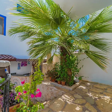 Apartment Pazar Kalkan